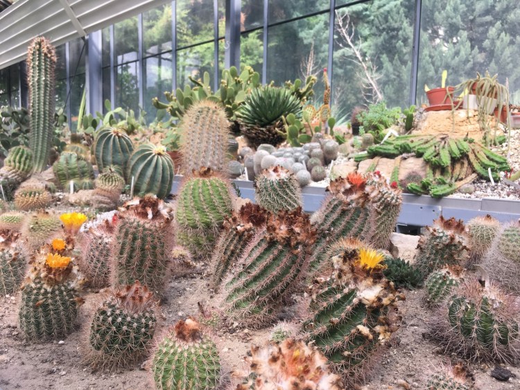 ELTE Botanikus Kert Budapest Jardin Botanique