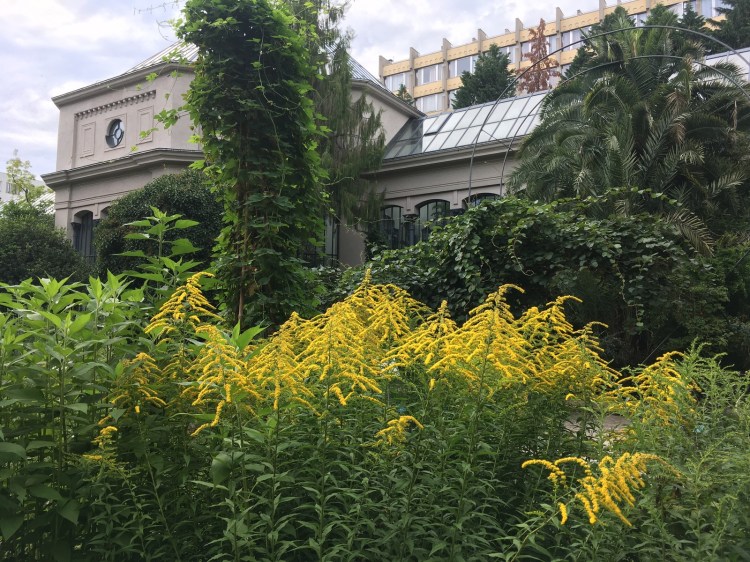 ELTE Botanikus Kert Budapest Jardin Botanique