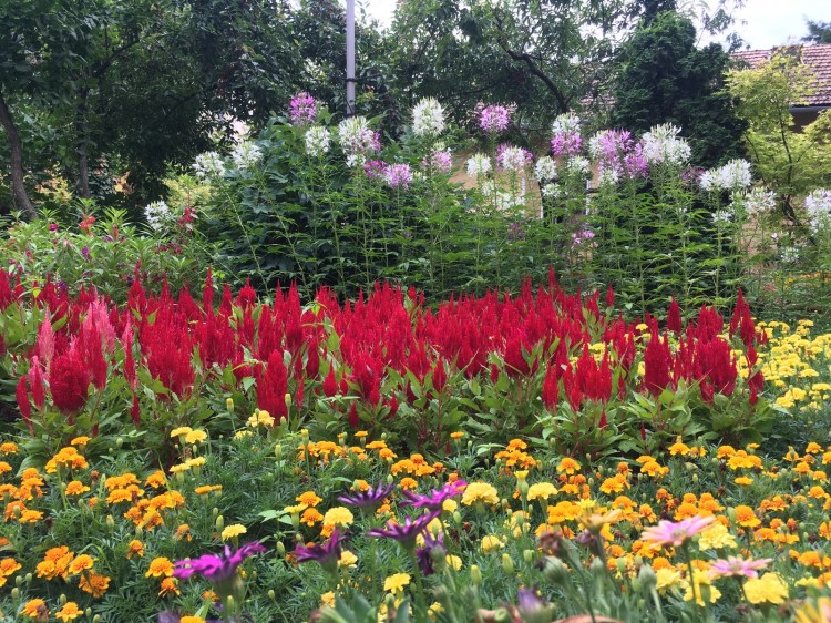 ELTE Botanikus Kert Budapest Jardin Botanique