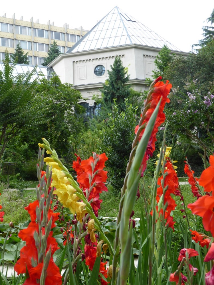 ELTE Botanikus Kert Budapest Jardin Botanique