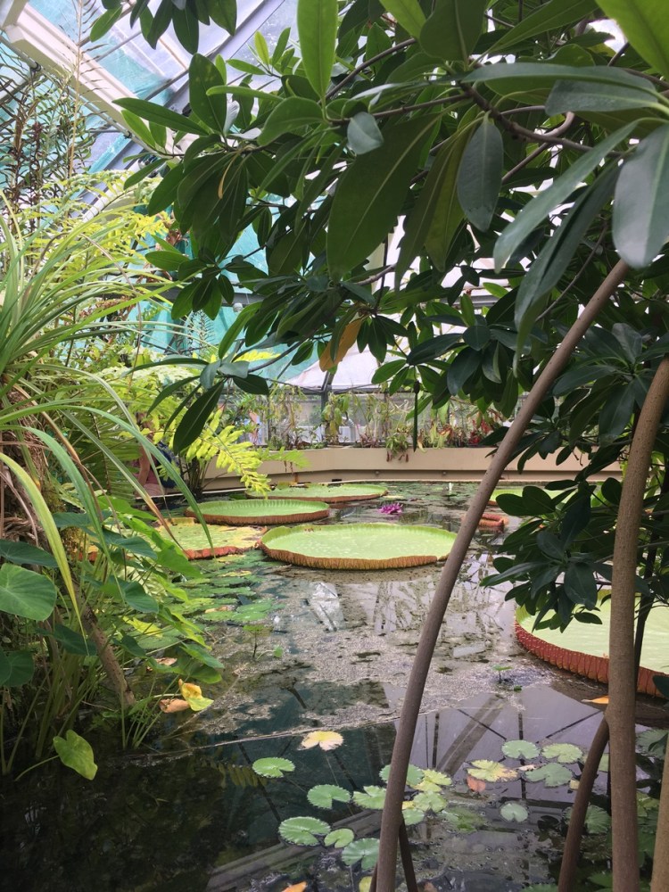 ELTE Botanikus Kert Budapest Jardin Botanique