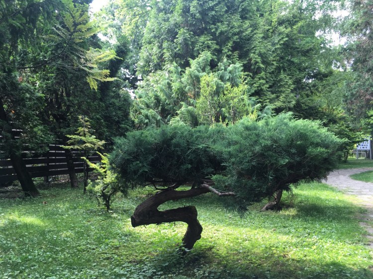 ELTE Botanikus Kert Budapest Jardin Botanique
