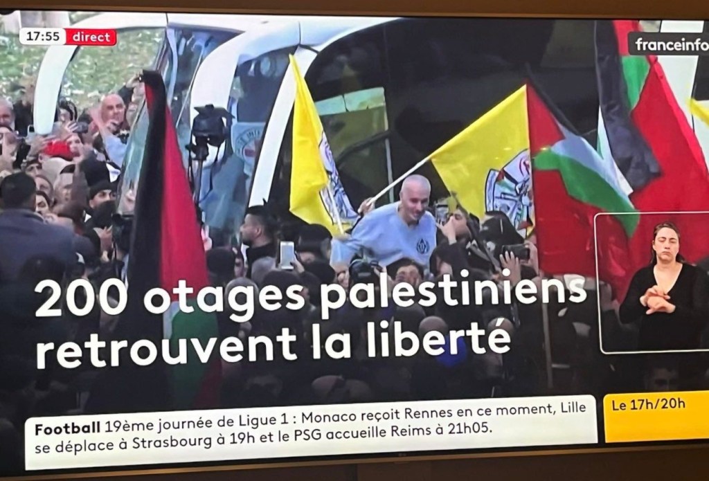 France info fake news